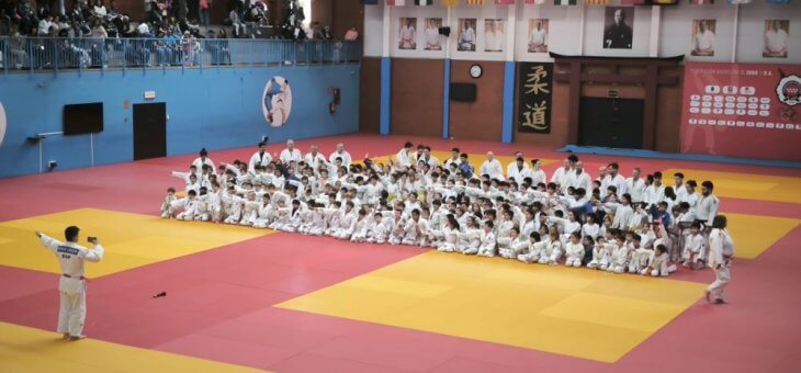 NUESTROS JUDOCAS CRECIENDO EN LA FEDERACIÓN MADRILEÑA DE JUDO